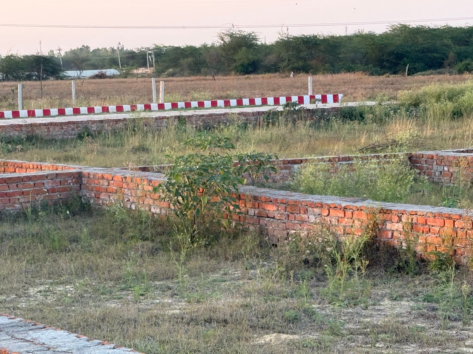 Site Image 1